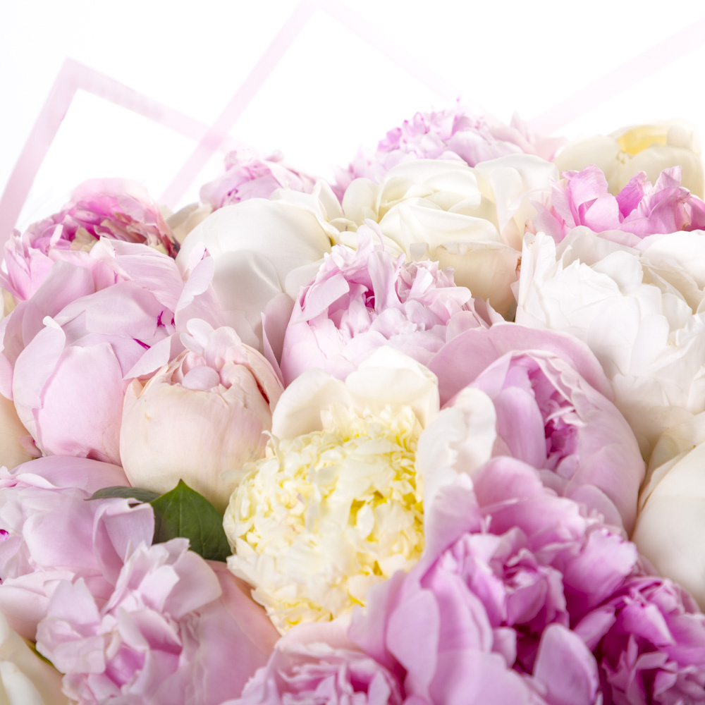 Букет из 35 разноцветных пионов