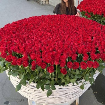 1001 красная роза в корзине