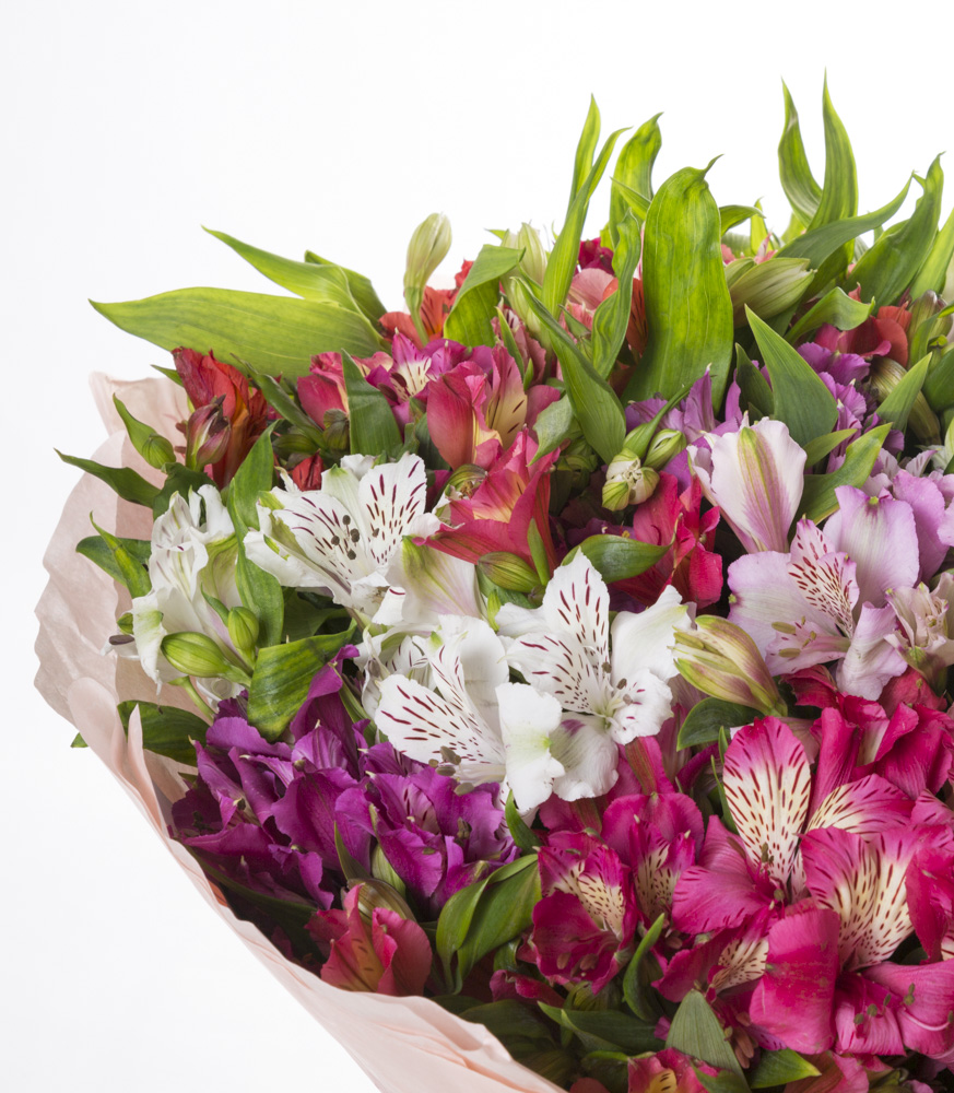 35 разноцветных альстромерий