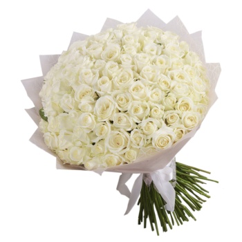 Букет из 101 белой розы premium 50 см