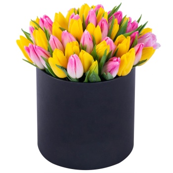 51 разноцветных тюльпан в черной шляпной коробке