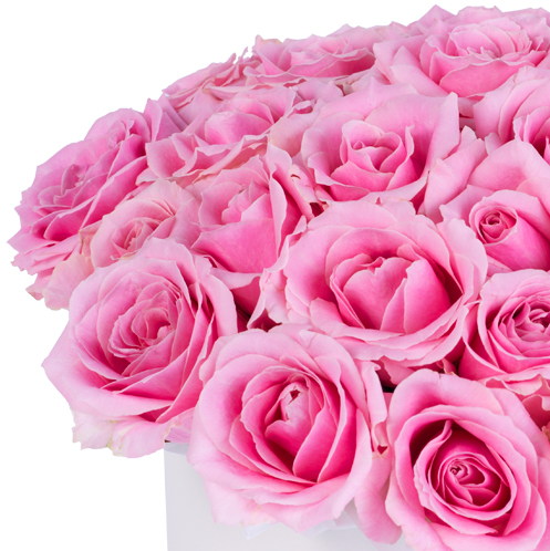 25 розовых роз premium в кремовой шляпной коробке