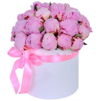 Букет из 25 розовых пионов в белой шляпной коробке