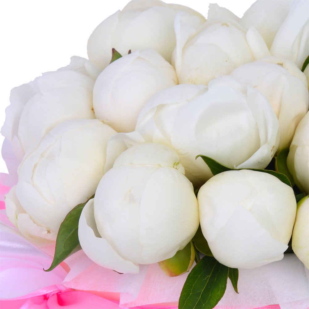 Букет из 19 белых пионов в кремовой шляпной коробке