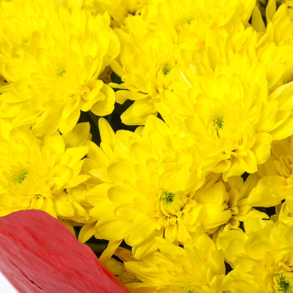 Букет из 21 желтой хризантемы