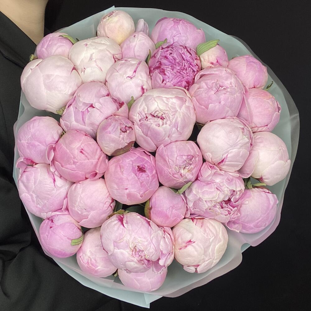 Букет из 31 нежно-розового пиона