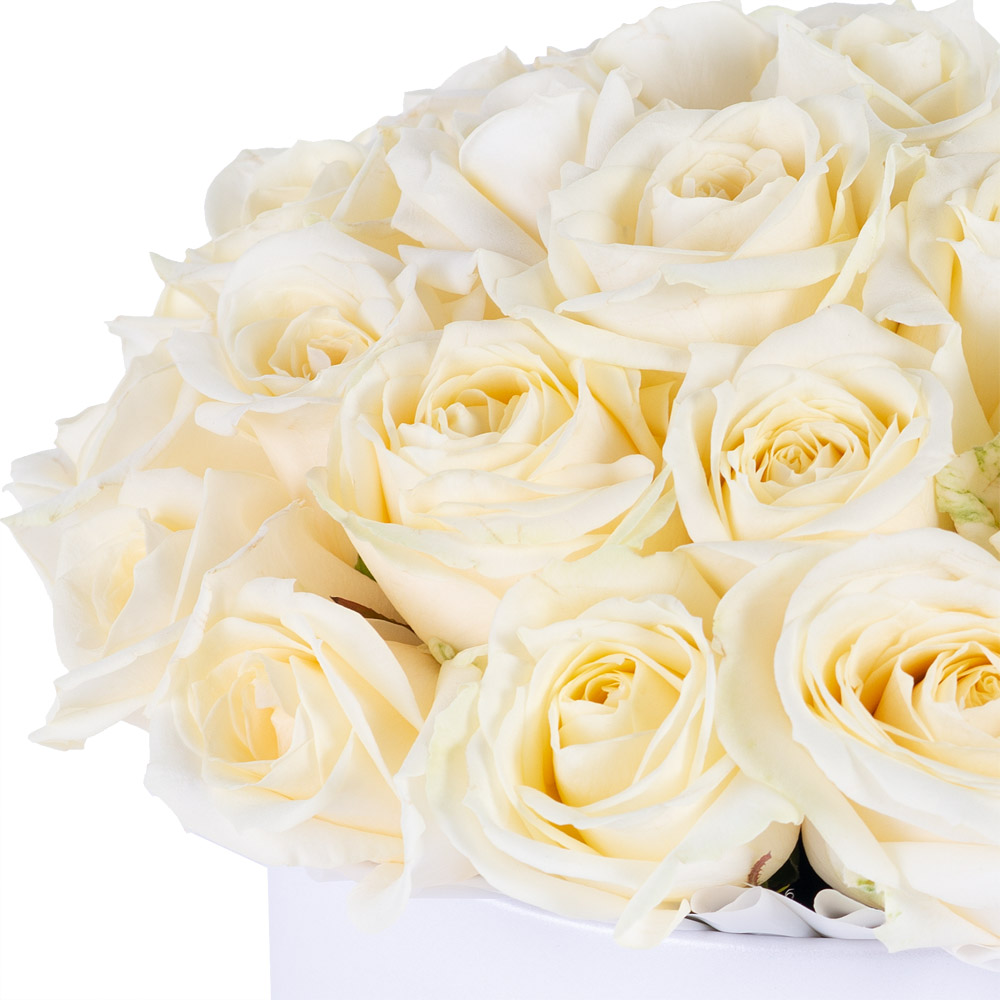 Букет из 35 белых роз premium в кремовой шляпной коробке