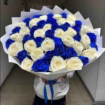 Букет из 51 синей и белой розы