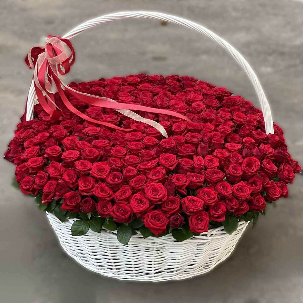 301 красная роза в корзине