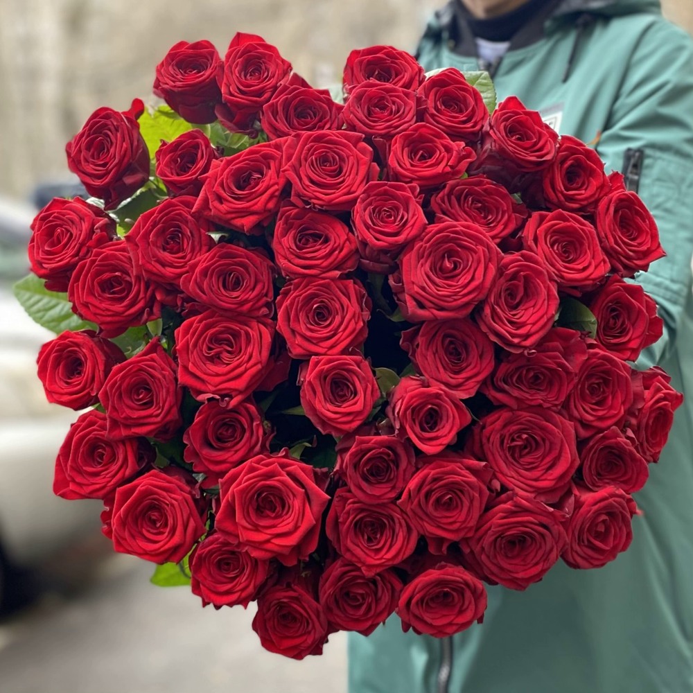 51 красная роза Premium 70 см.