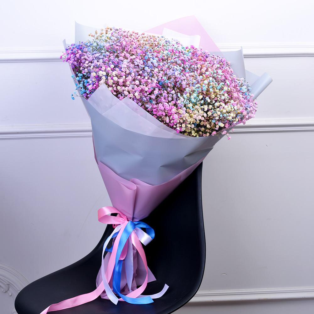 21 разноцветная гипсофила