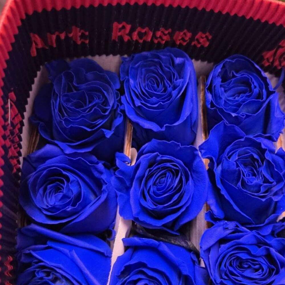 Букет из 13 синих роз Эквадор