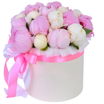 Букет из 19 разноцветных пионов в кремовой шляпной коробке