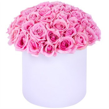 Букет из 51 розовой розы premium в белой шляпной коробке