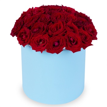 25 красных роз premium в голубой шляпной коробке