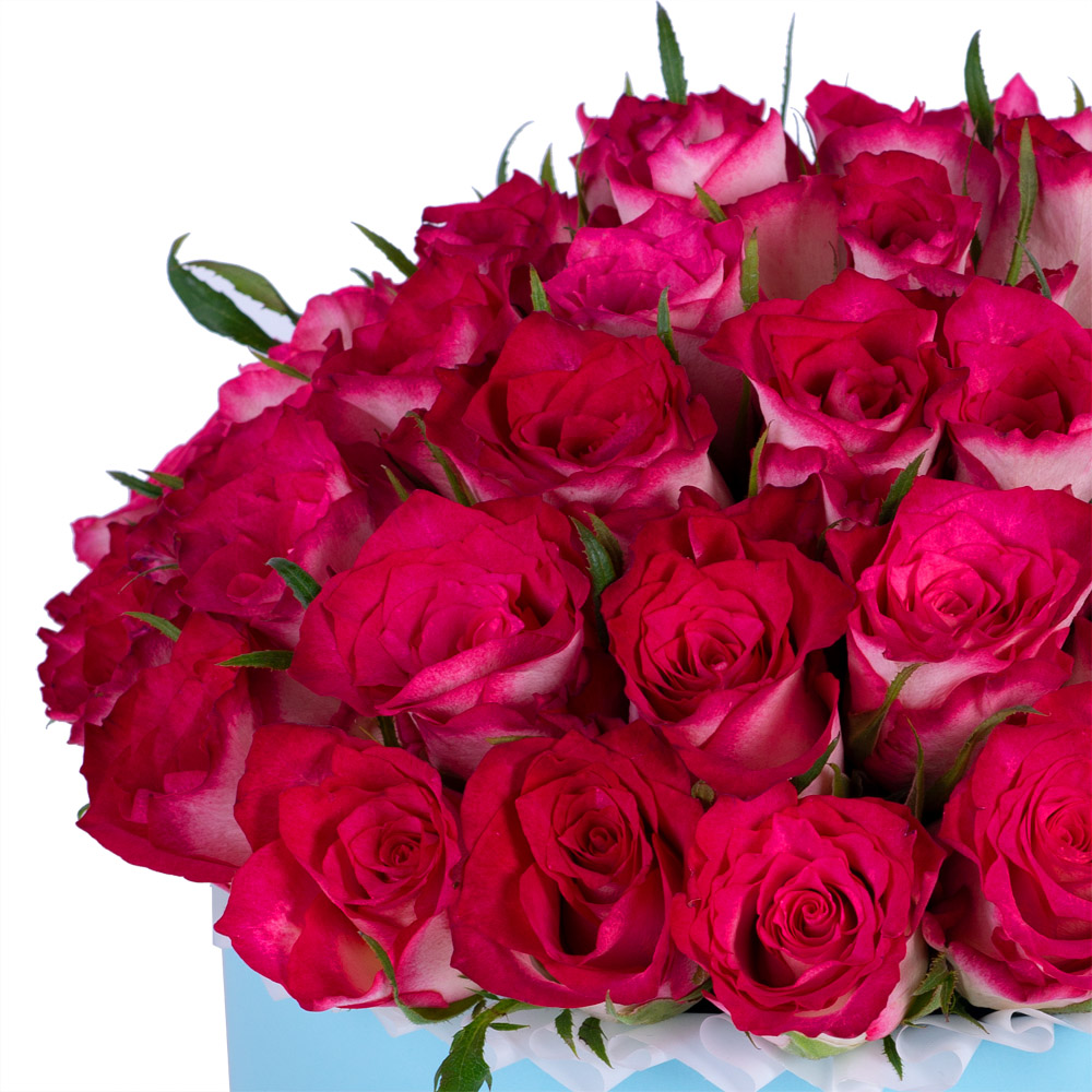 Букет из 51 бело-малиновой розы в голубой шляпной коробке