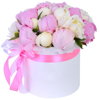 Букет из 21 разноцветного пиона в белой шляпной коробке