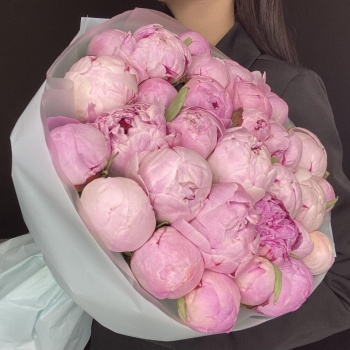 Букет из 31 нежно-розового пиона