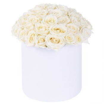 Букет из 51 белой розы premium в белой шляпной коробке