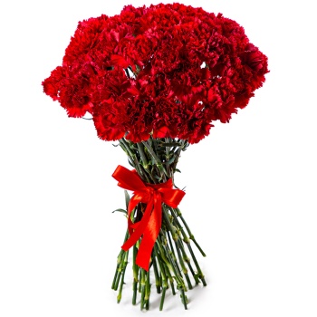 35 красных гвоздик