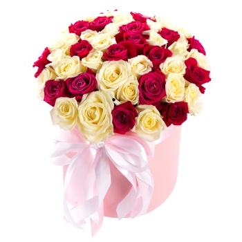 51 малиновая и белая роза в шляпной коробке