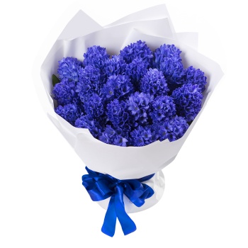 Букет из синего гиацинта 25 шт