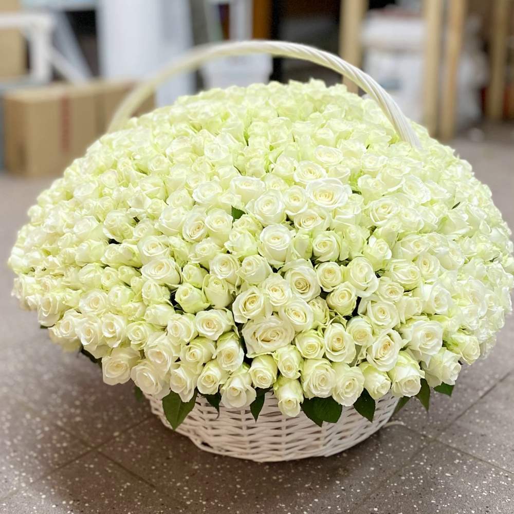 501 белая роза в корзине