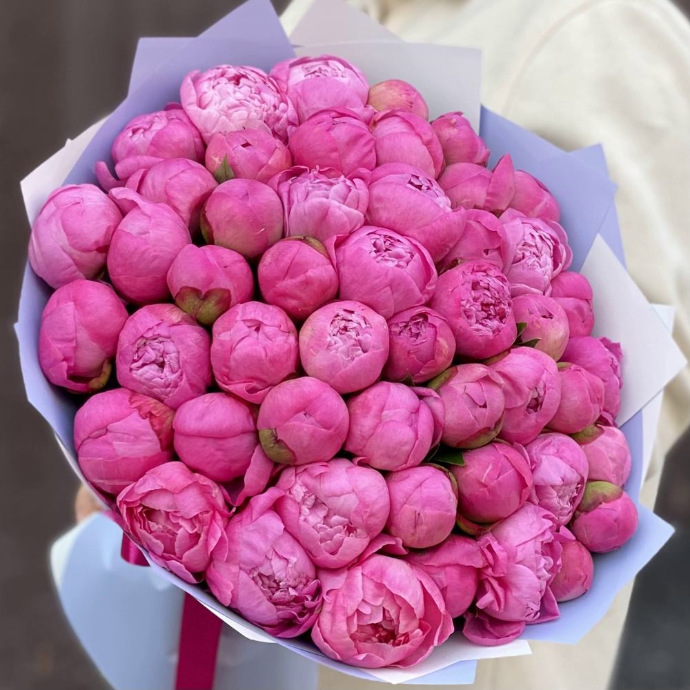 Букет из 51 розового пиона