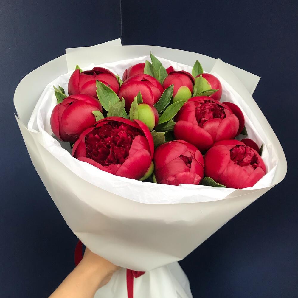 Букет из 11 бордовых пионов