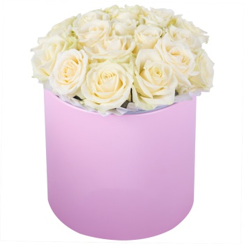 Букет из 21 белой розы premium в розовой шляпной коробке