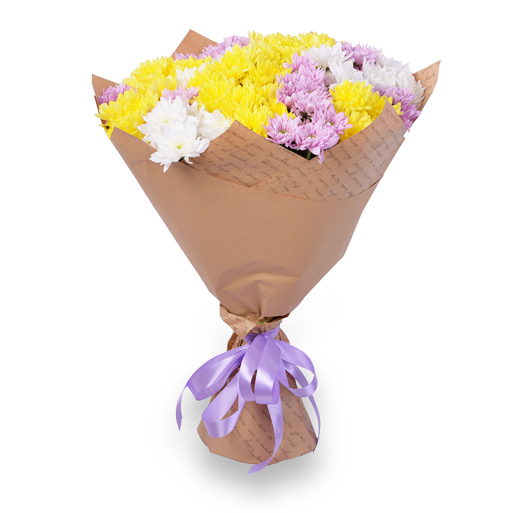 21 разноцветная хризантема