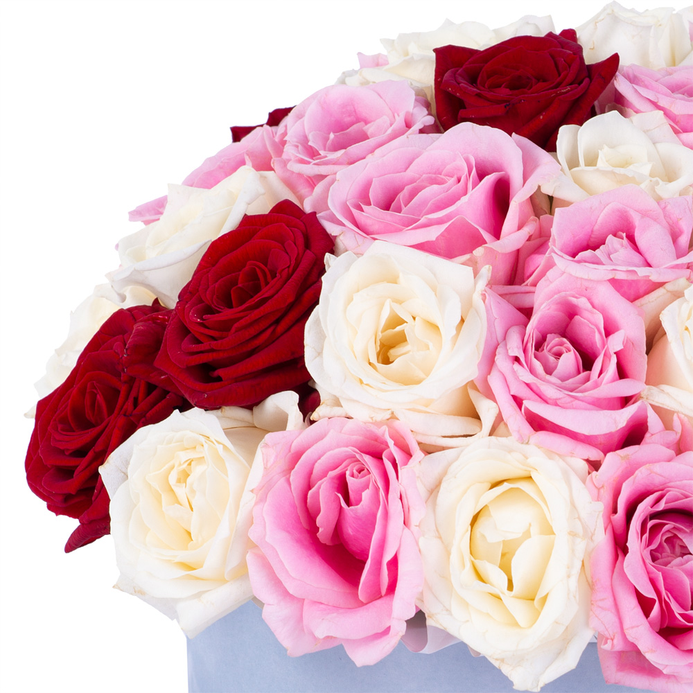 Букет из 51 разноцветной розы premium в серой бархатной шляпной коробке