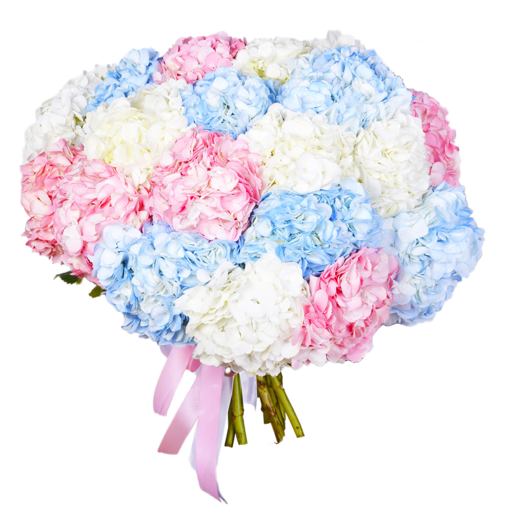 Букет из 21 Гортензий