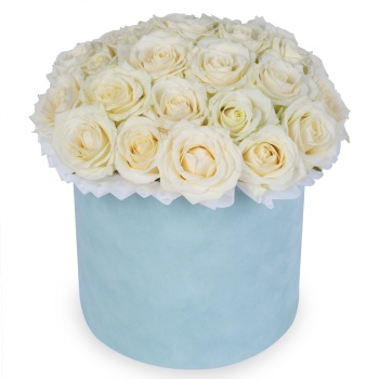 25 белых роз premium в зеленой бархатной шляпной коробке