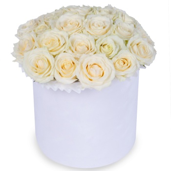 25 белых роз premium в белой шляпной коробке