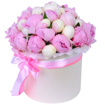 Букет из 35 разноцветных пионов в кремовой шляпной коробке