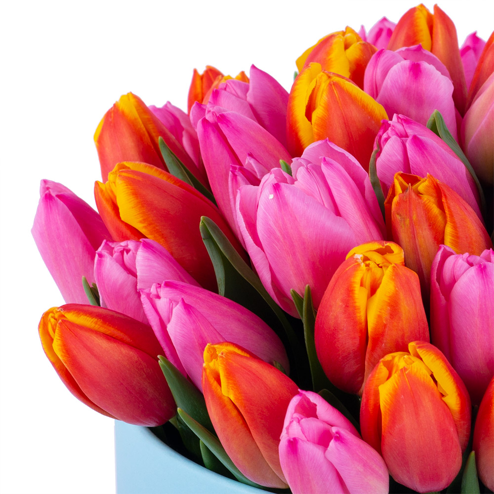 Букет микс из 51 тюльпана в голубой шляпной коробке