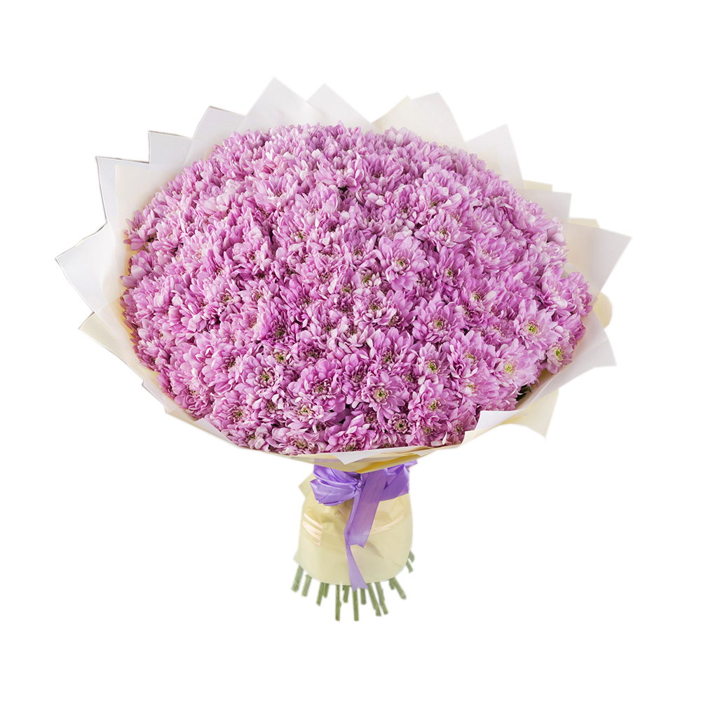 Букет из 51 сиреневой хризантемы