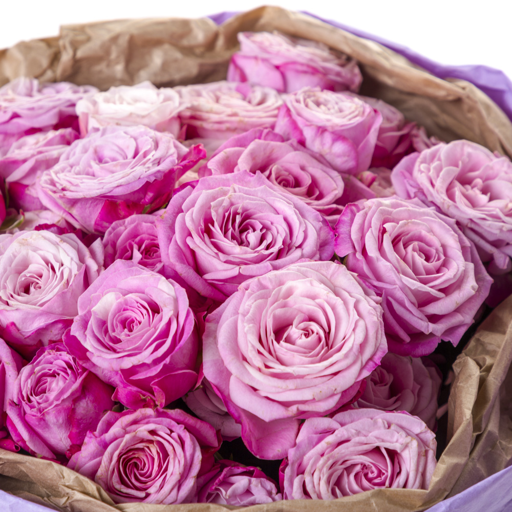 15 розовых кустовых роз