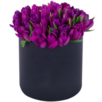 51 фиолетовый тюльпан в черной шляпной коробке