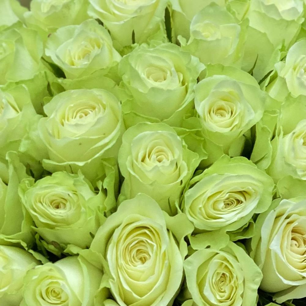 35 белых роз в крафте