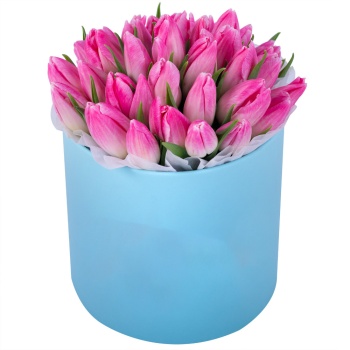 35 розовых тюльпан в голубой шляпной коробке
