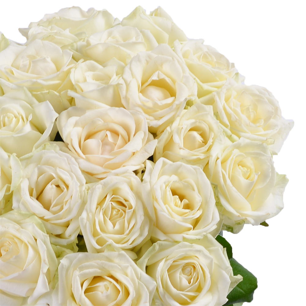 Букет из 25 белых роз 50 см