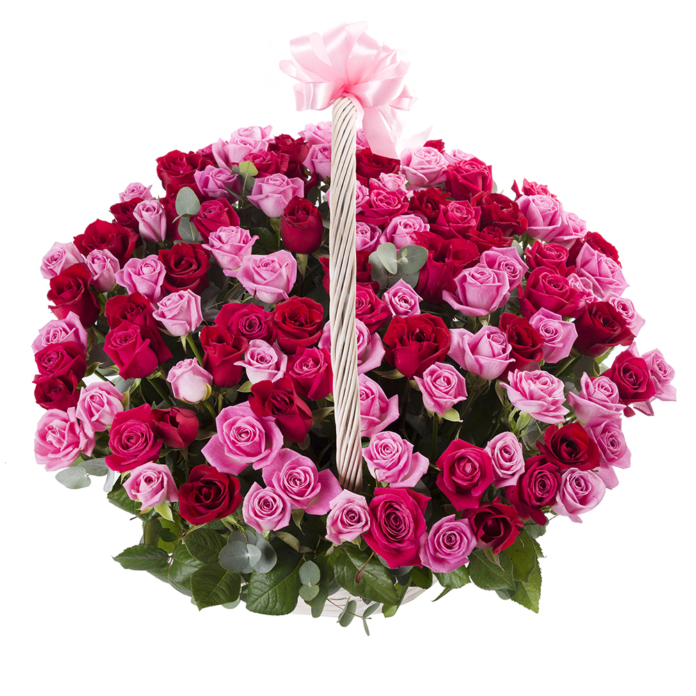 101 роза микс в корзине с лентой