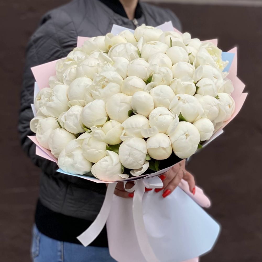 Букет из 51 белого пиона