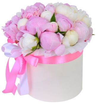 Букет из 21 разноцветного пиона в кремовой шляпной коробке