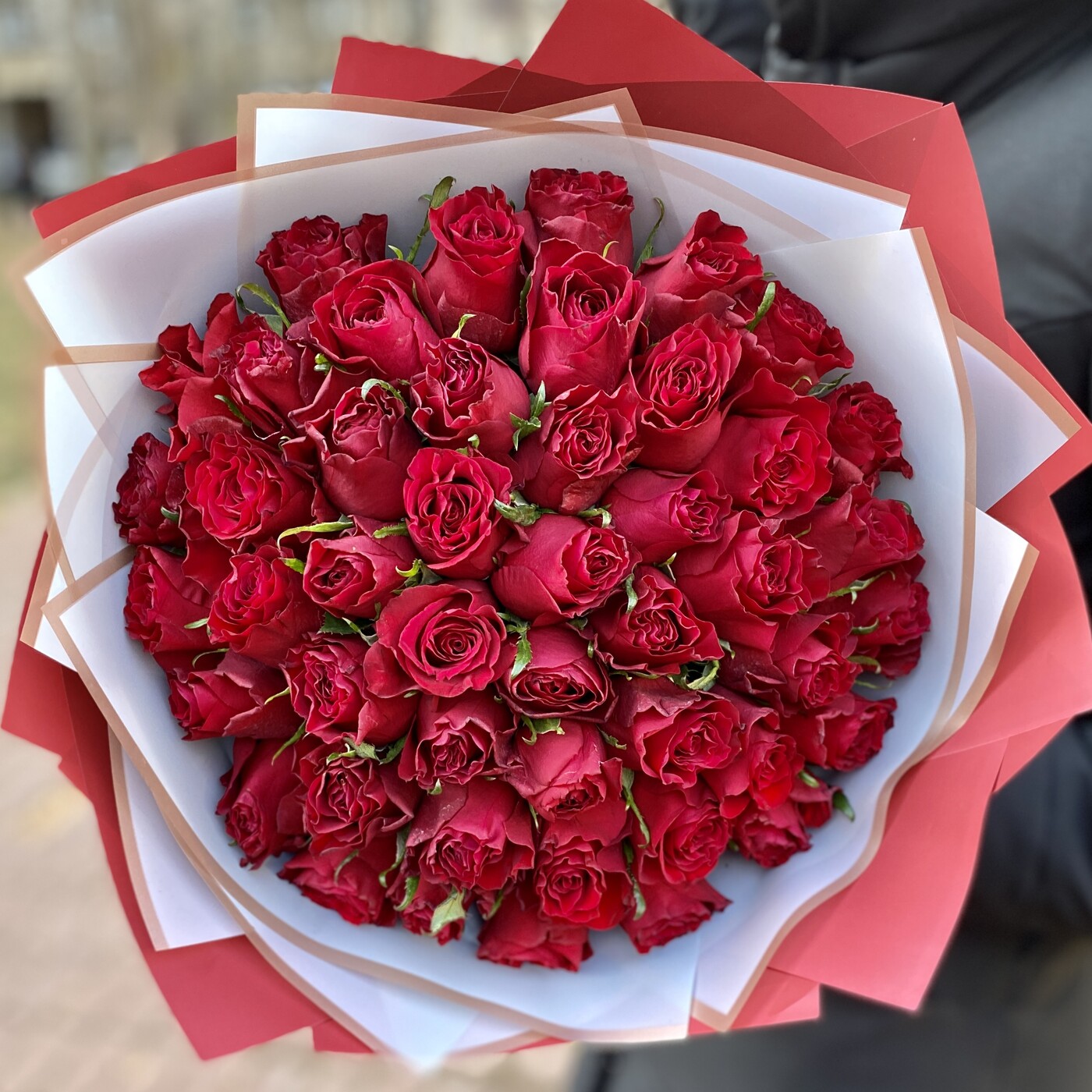 51 красная роза 40 см